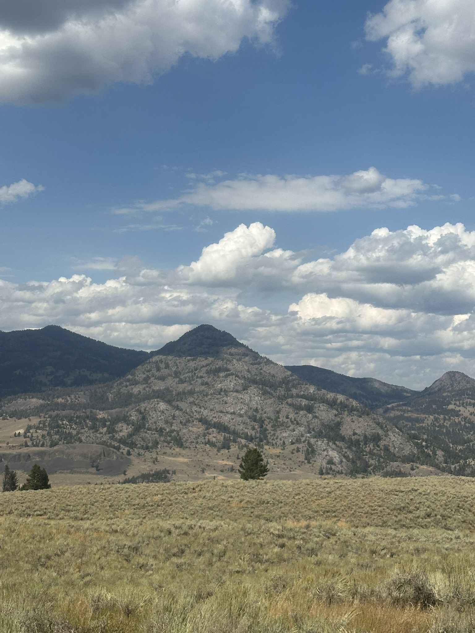 Yellowstone And Grand Teton National Parks - Image 768